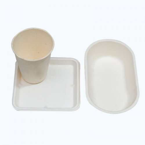 Food tray and cup