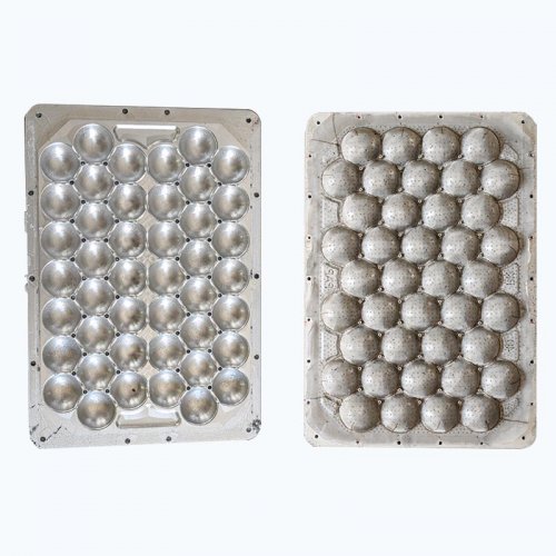 Apple tray mould